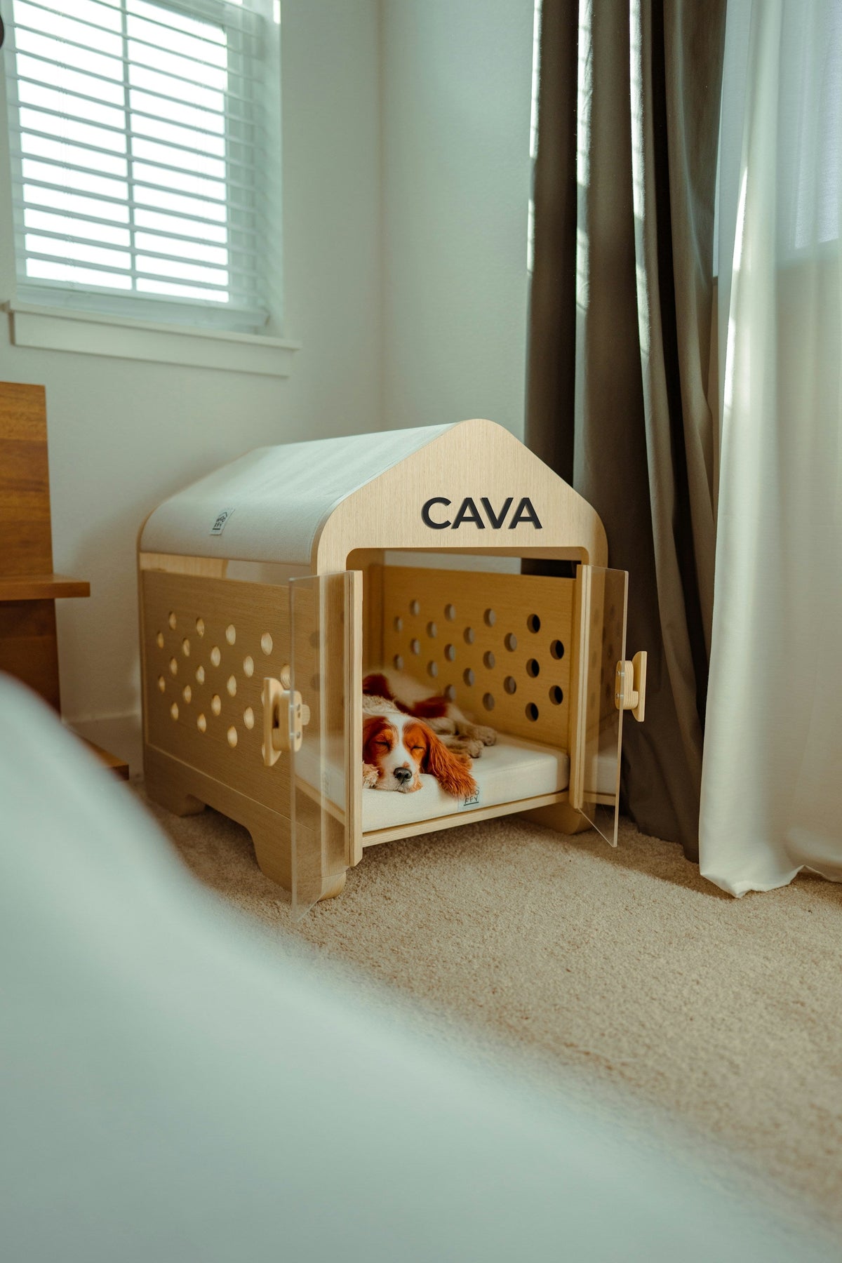 Pet-Friendly Home
